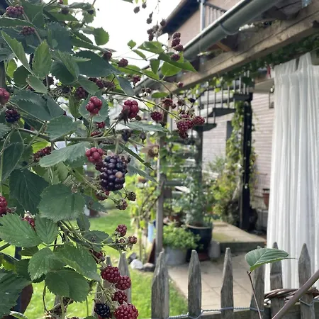 Apartmán Gluecksmomente