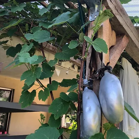 Apartmán Gluecksmomente Wolfegg