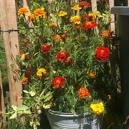 Gluecksmomente Wolfegg