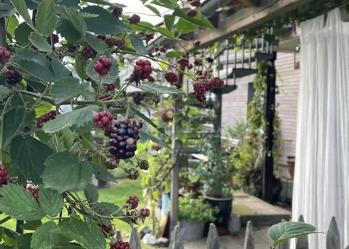 Apartment Gluecksmomente